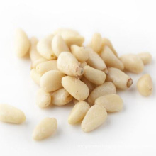 China High Quality Bulk Pine Nuts In Shell